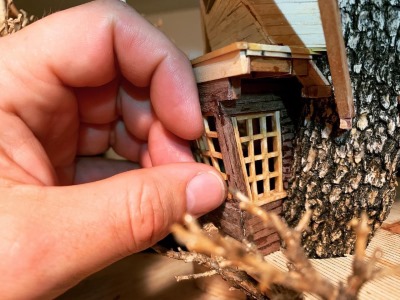 Photo Courtesy of the Pacific Bonsai Museum
